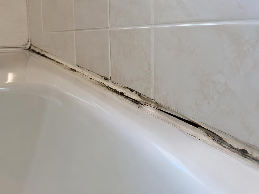 Silicone — Before